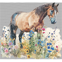 Animal Integration-DW 419